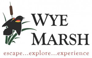 wye-marsh-logo_0