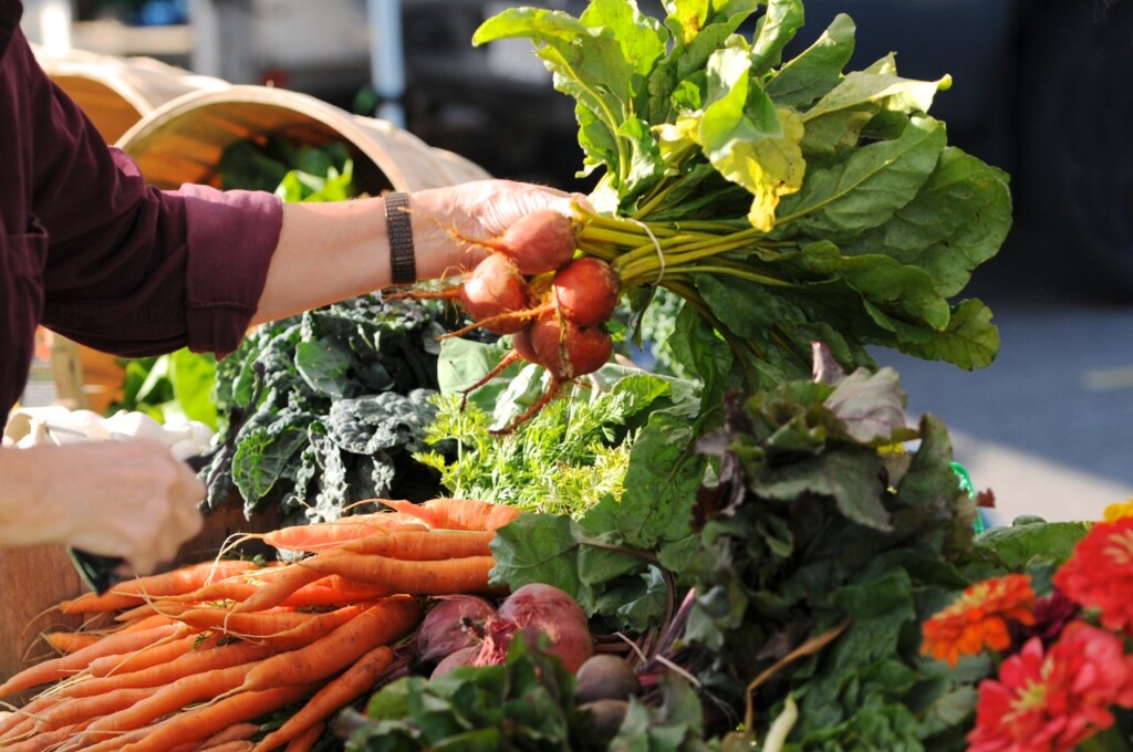 Five Fresh Farmers’ Markets in Orillia & Lake Country | Orillia & Lake ...