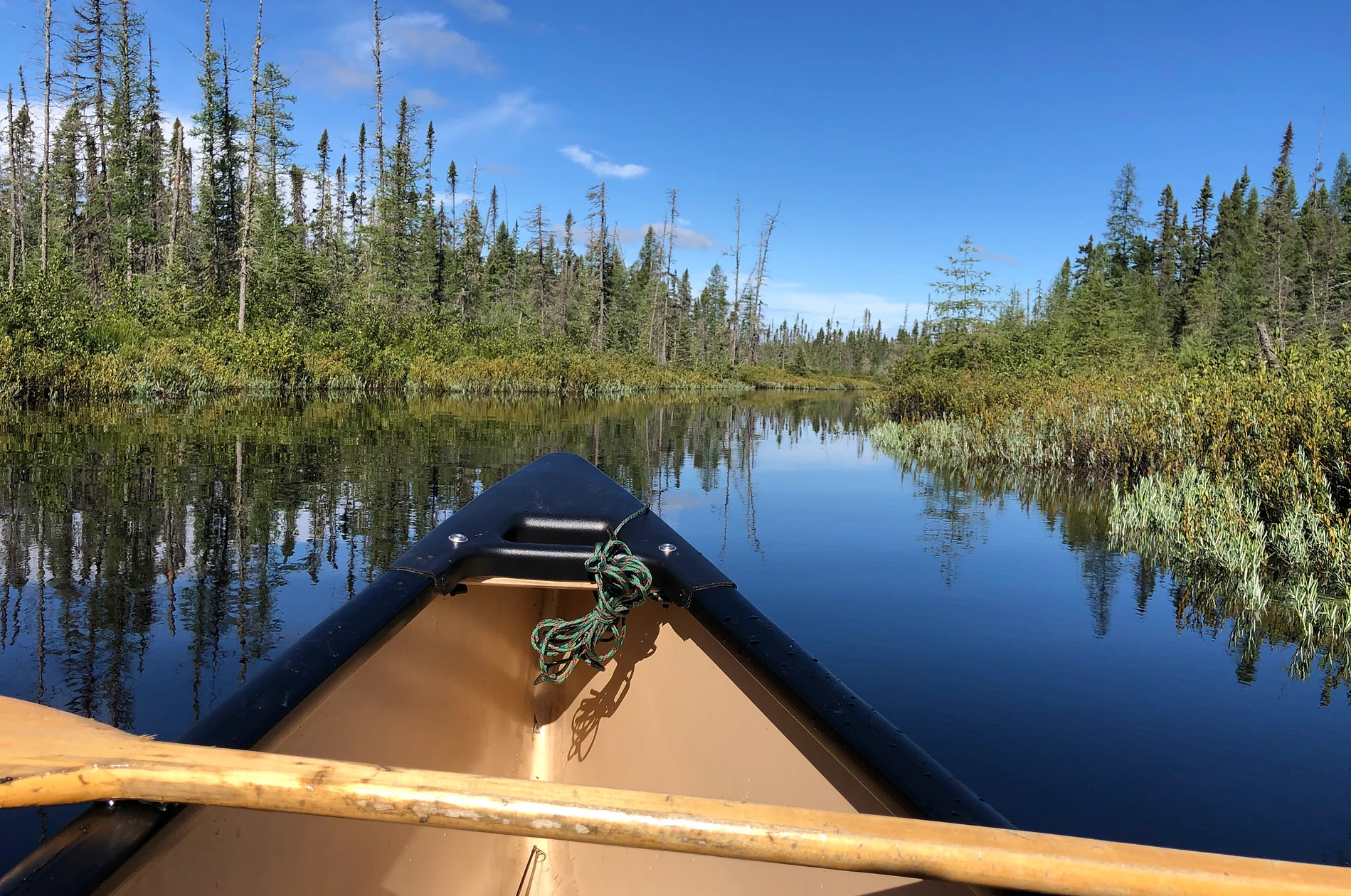 Washago Outfitters