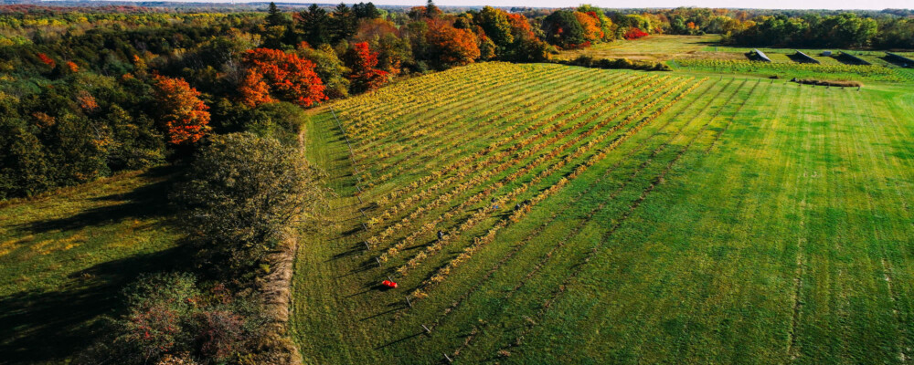 Rural Fall Fun In Oro Medonte Orillia And Lake Country Tourism 2766