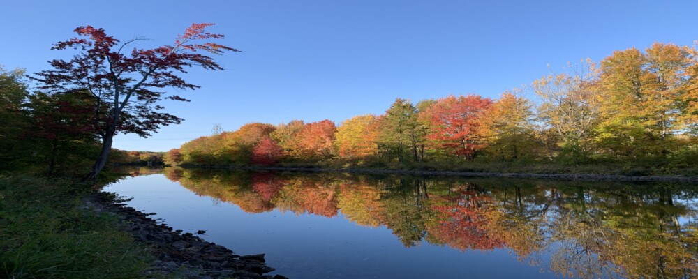 Find Adventure in Washago’s Fall Trails