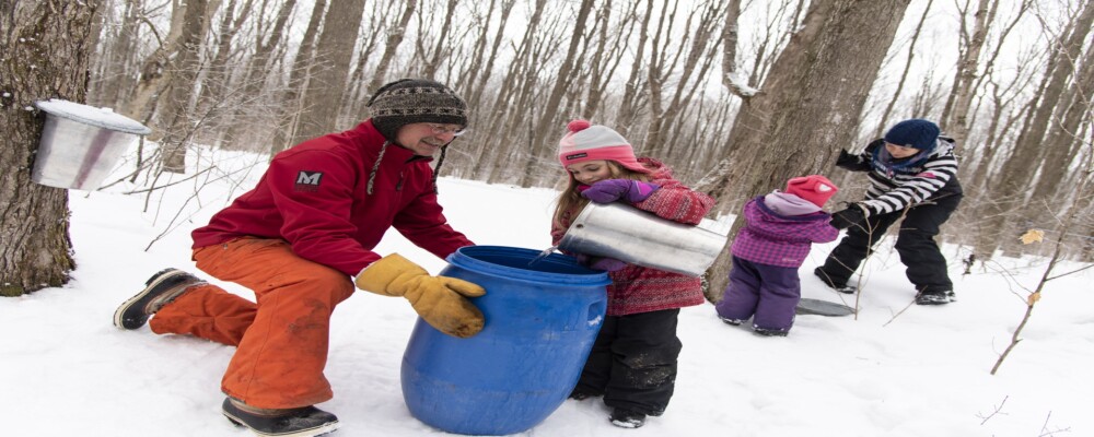 Tap into Maple hits the Sweet Spot in Orillia & Lake Country