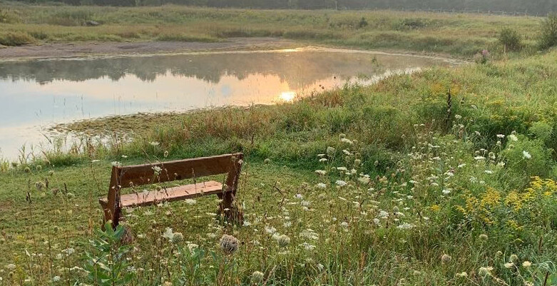 Robert L. Bowles Nature Centre