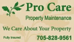 PRO CARE PROPERTY MAINTENANCE