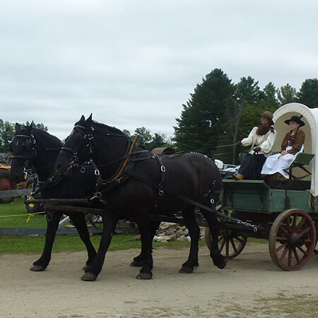 Rolling Sands Percherons