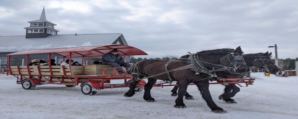 Family Day Weekend: Outdoor Fun in Oro-Medonte